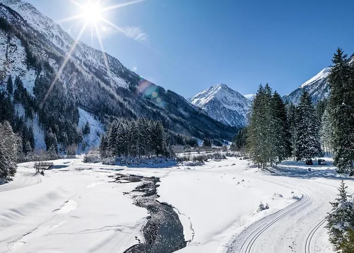 Apartment Mountainview